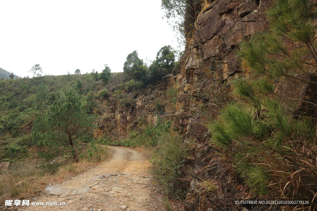 山间蜿蜒小路林木相伴