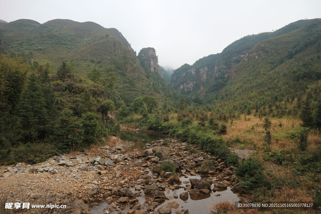 山间溪流旁的自然景致
