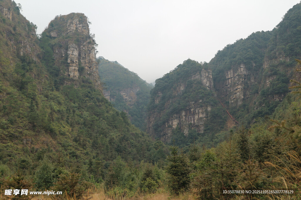 壮丽山峦间的葱郁景致