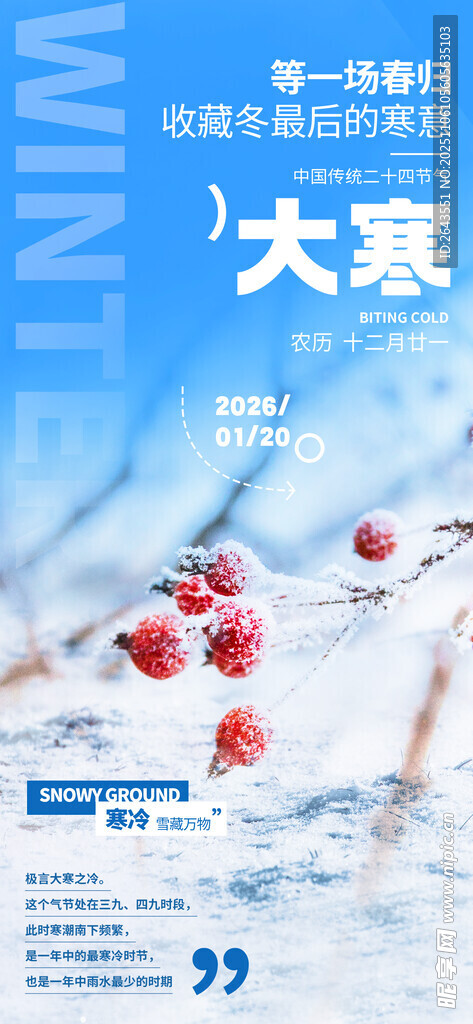 二十四节气大寒节气推广海报
