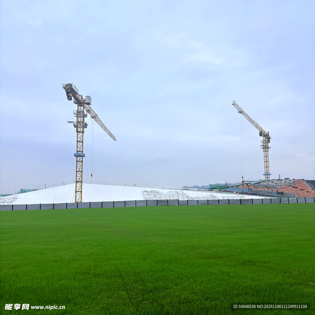 草地旁的塔式起重机