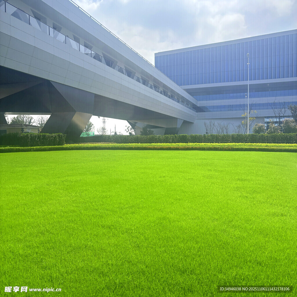 城市中的大片翠绿草坪