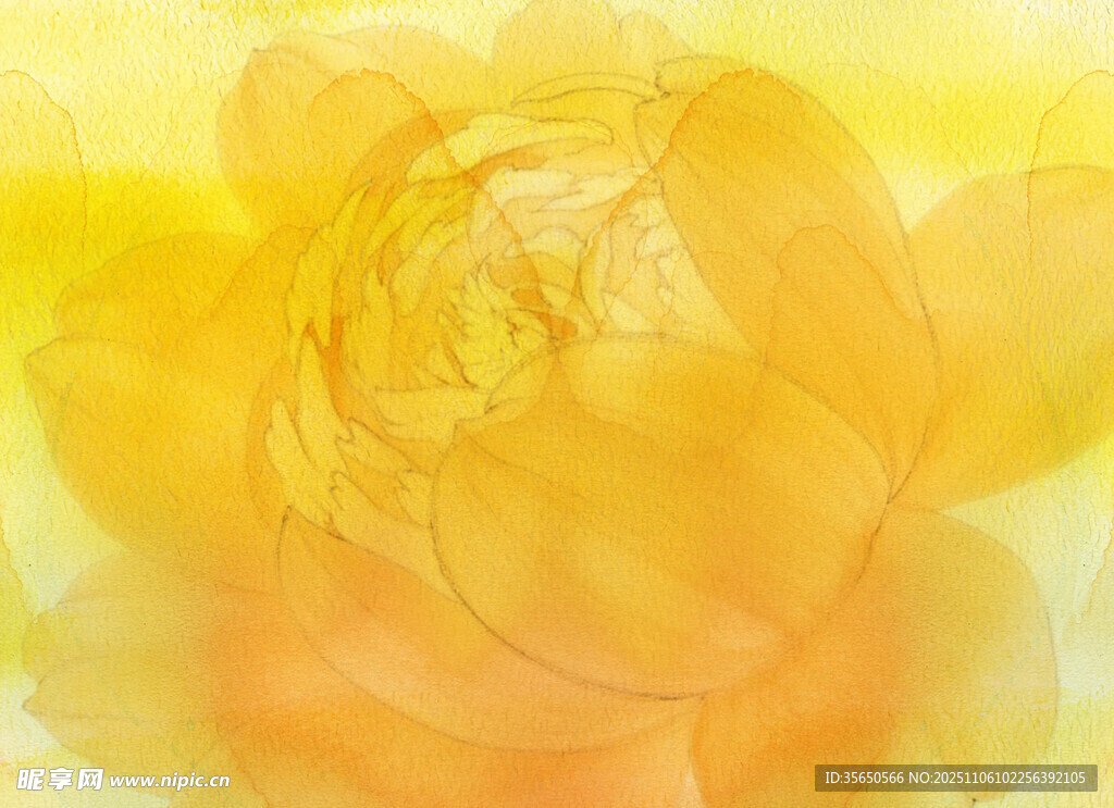 梦幻黄色花卉水彩画