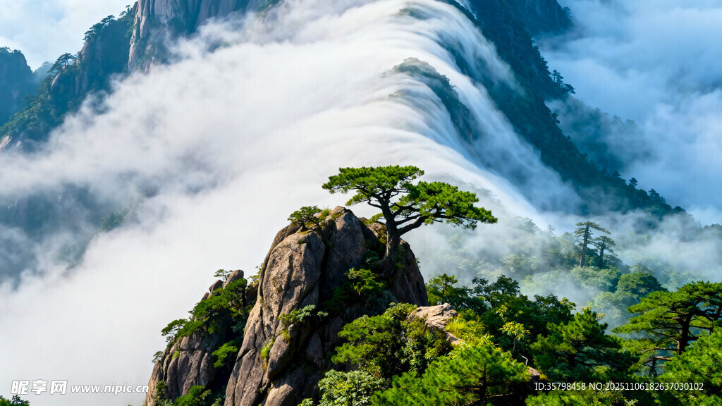 黄山奇峰上的苍松云海