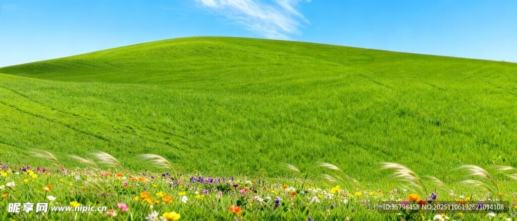 草原花海美景