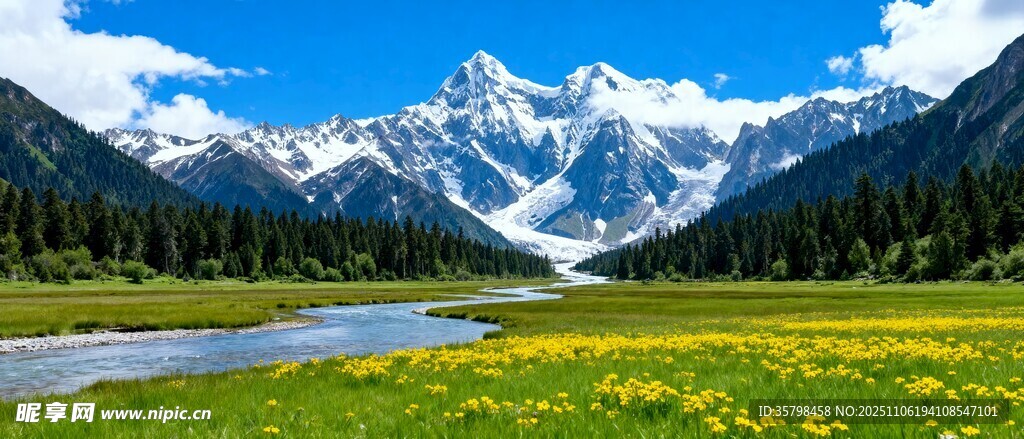 雪山下的草原花海美景