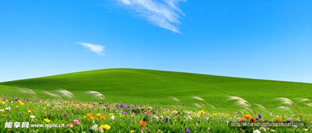 春日绿野繁花美景