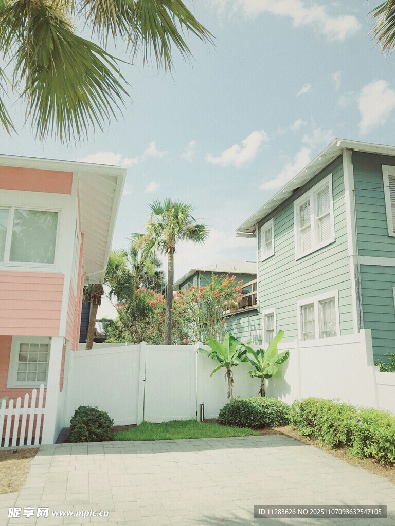 海滨彩色小屋与棕榈树