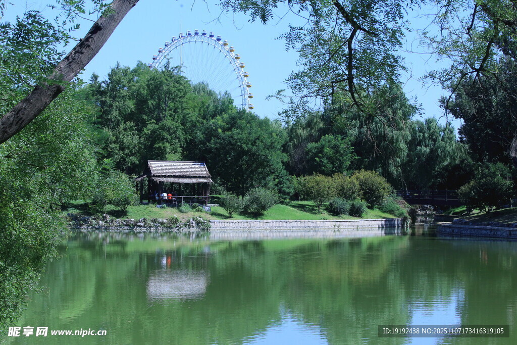 公园风景 