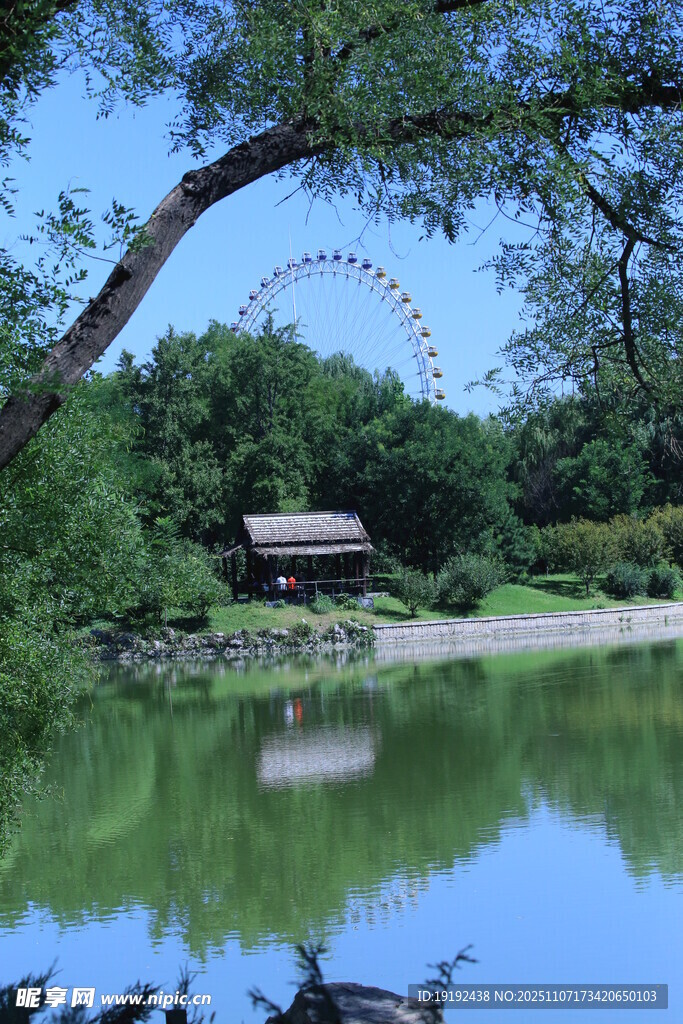 公园风景  