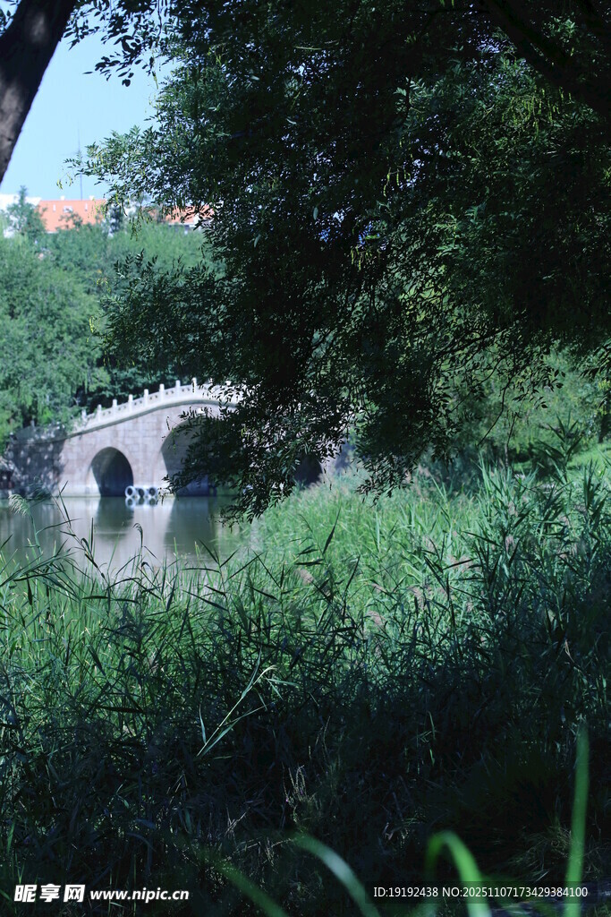公园风景  