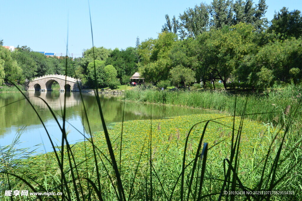 公园风景  