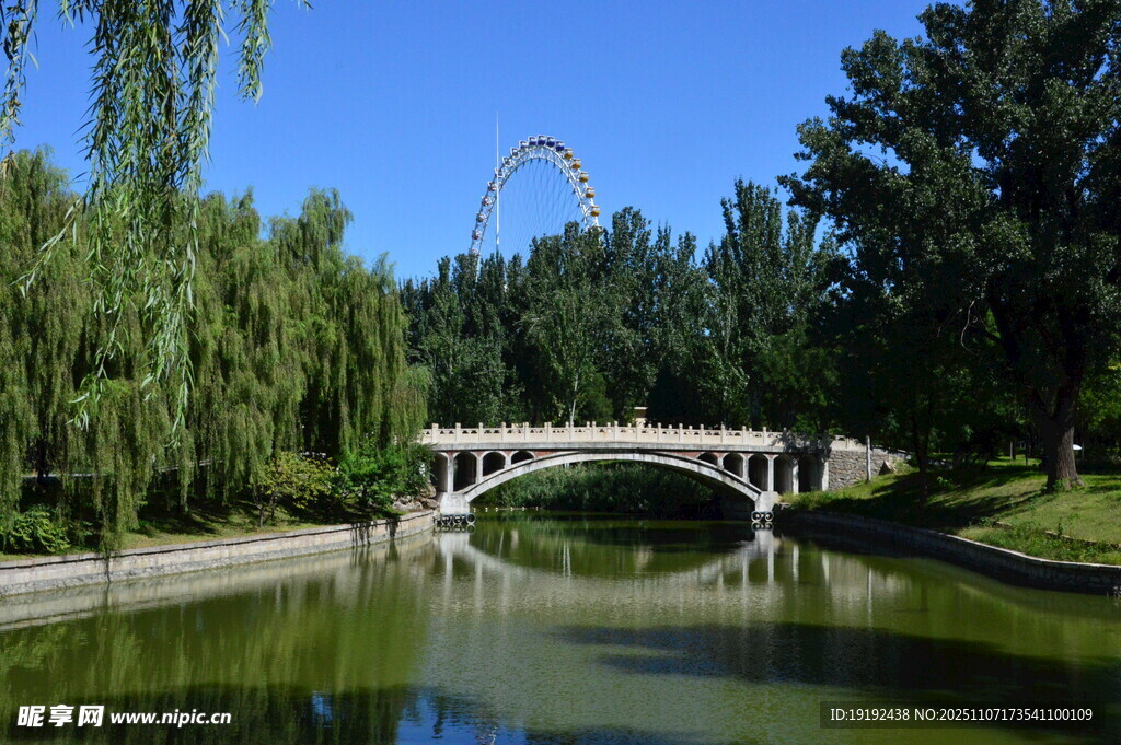 公园风景  