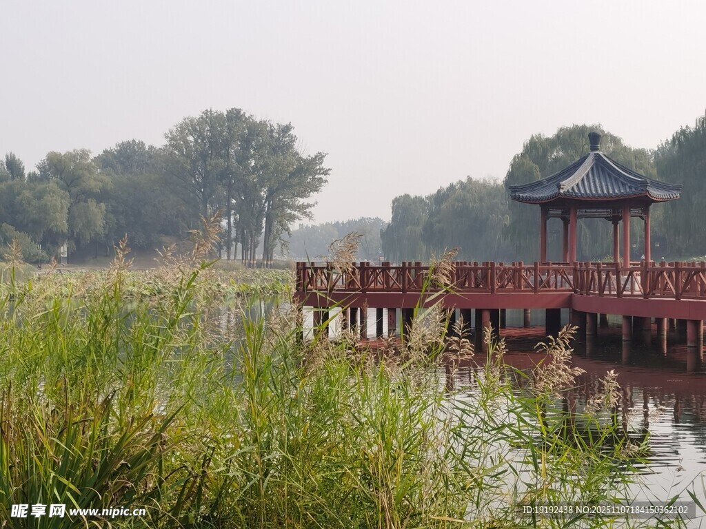 公园风景 