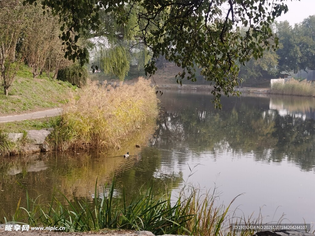 公园风景 