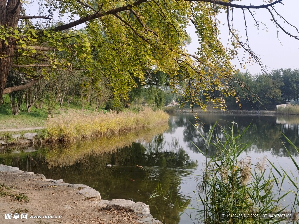 公园风景 
