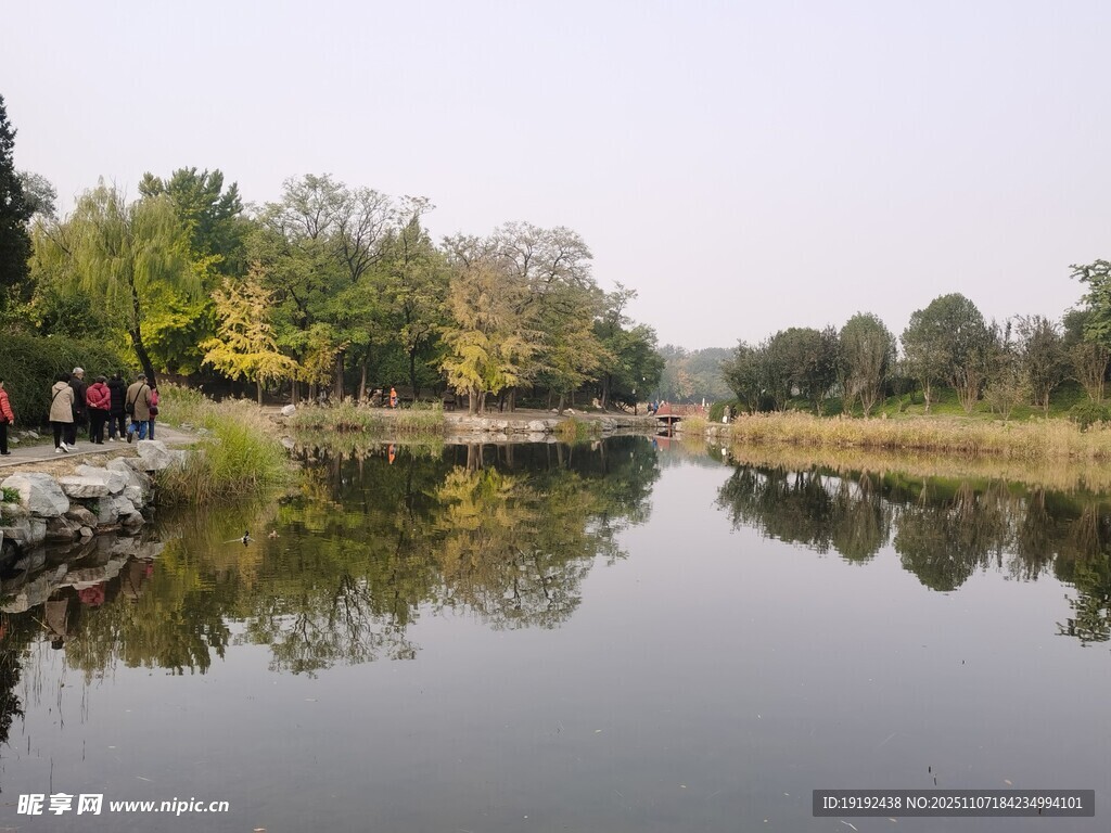公园风景  