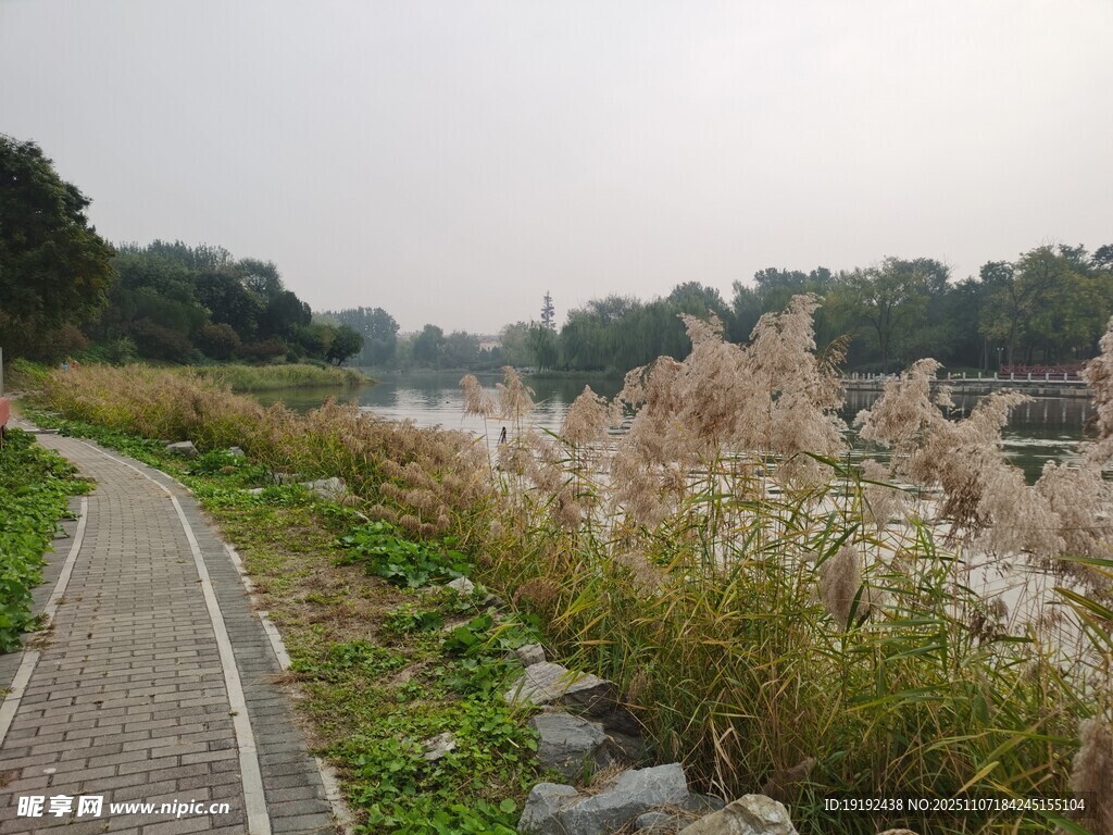 公园风景 