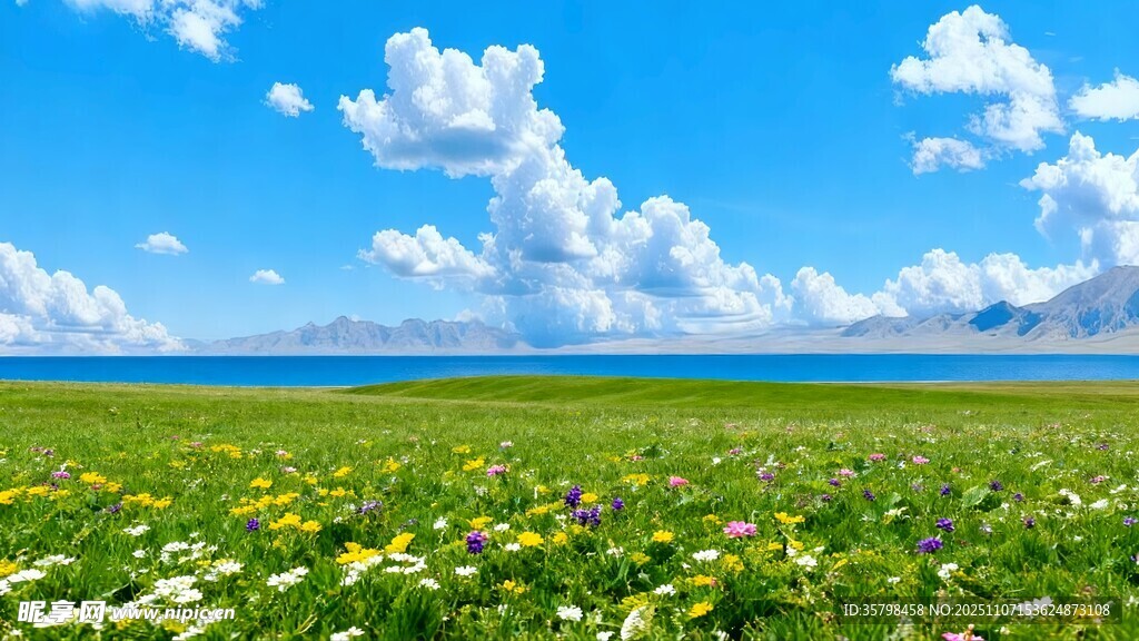 草原花海蓝天美景