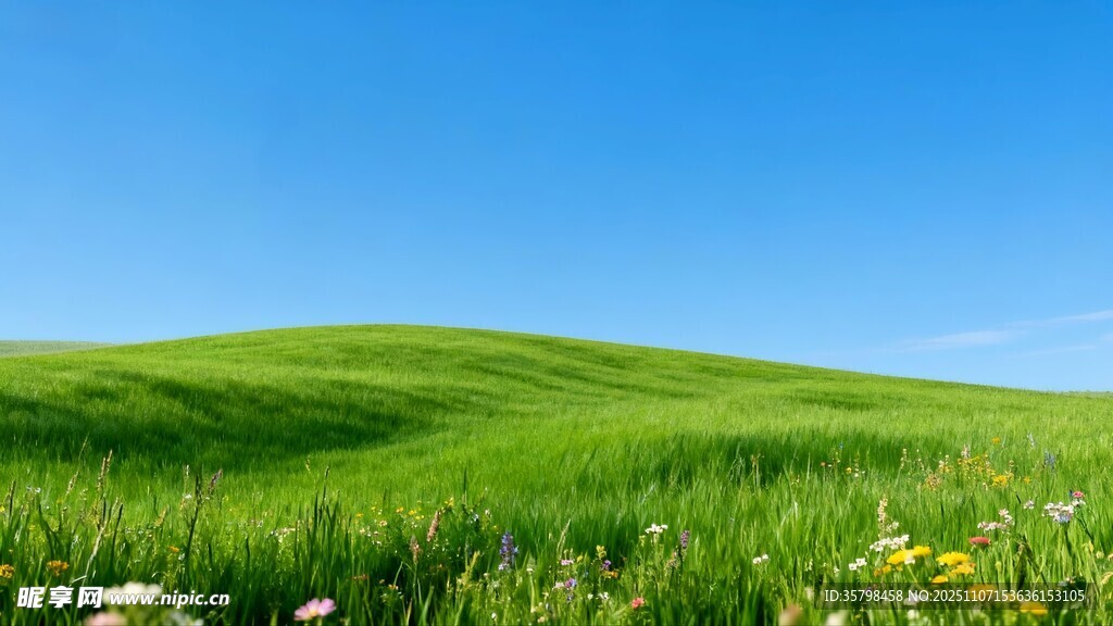 翠绿草原蓝天之下的美景