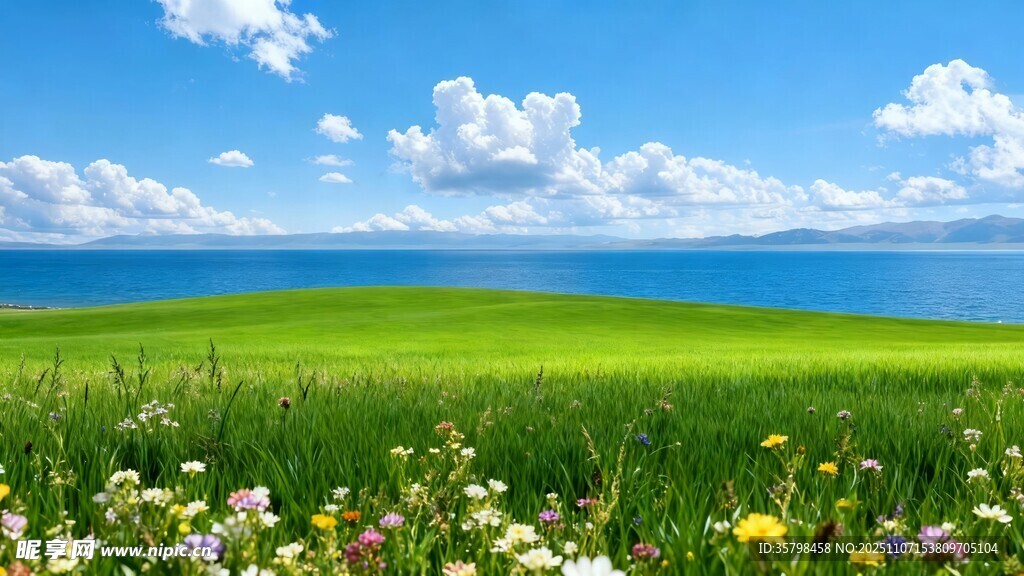 草原花海与蓝天湖泊美景