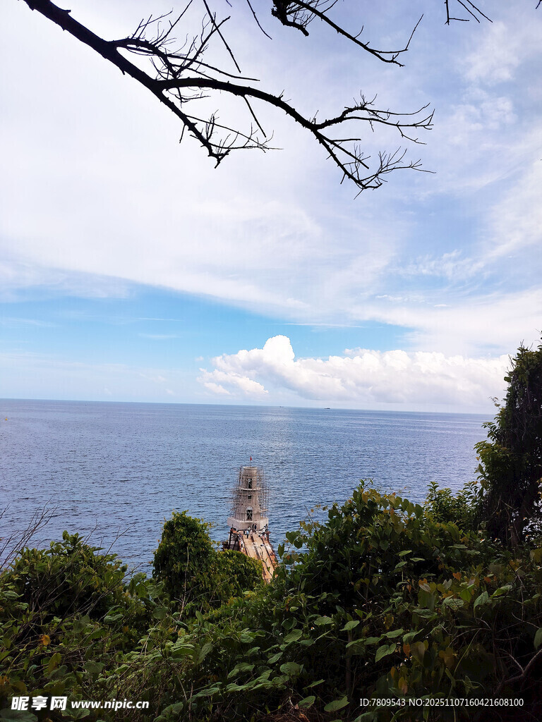 海边繁茂绿植与辽阔海景