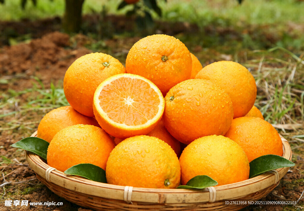 竹篮里的橙子