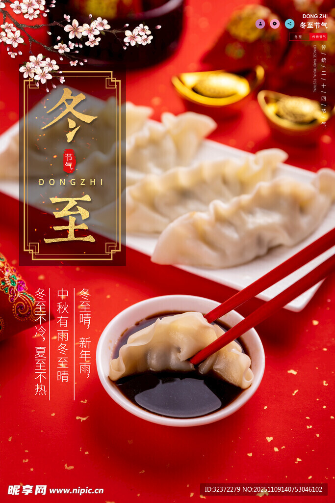 冬至饺子美食图