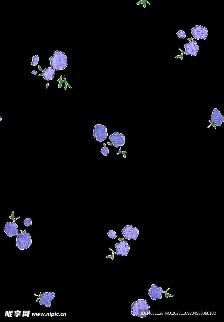 黑色背景上的紫色小花