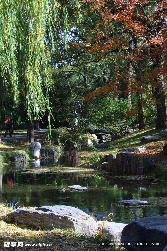 公园风景  
