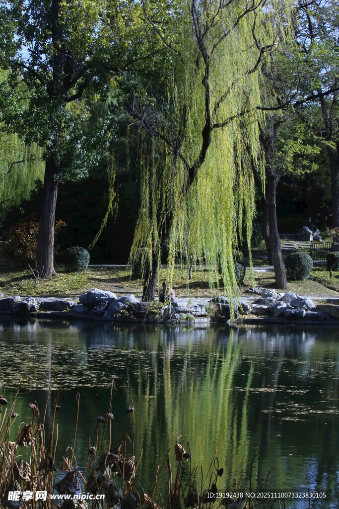 公园风景  