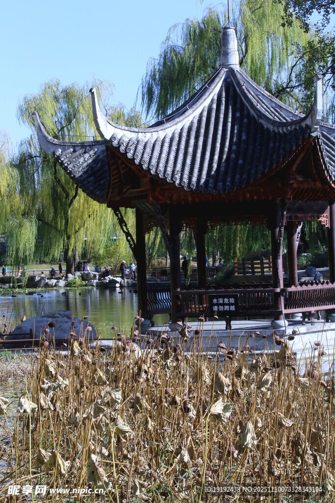 公园风景  
