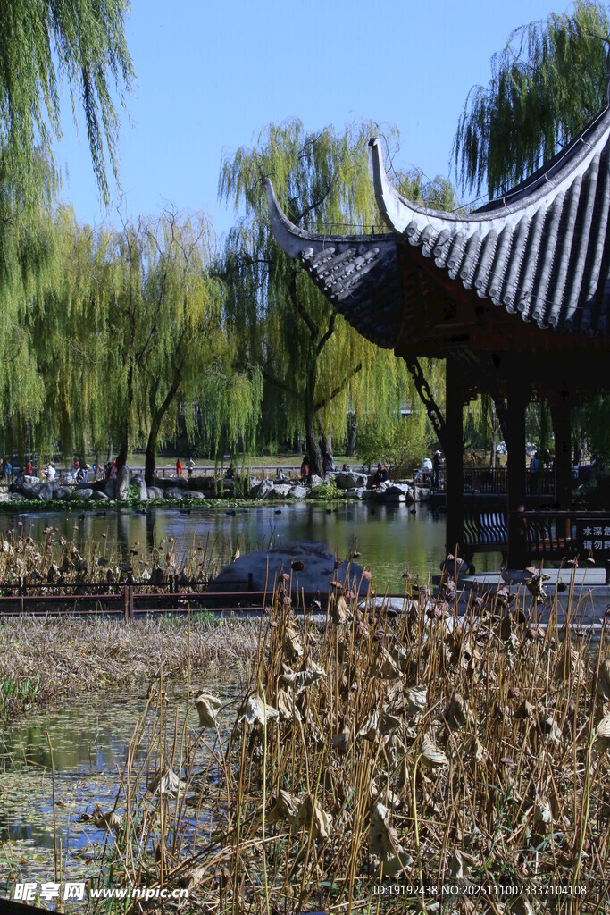 公园风景  