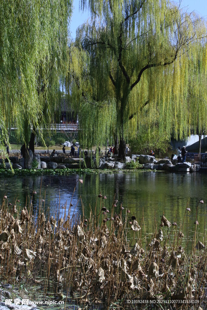 公园风景 