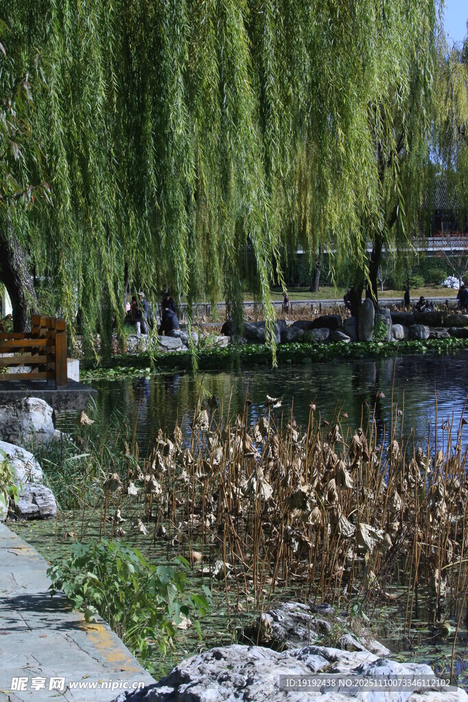 公园风景  