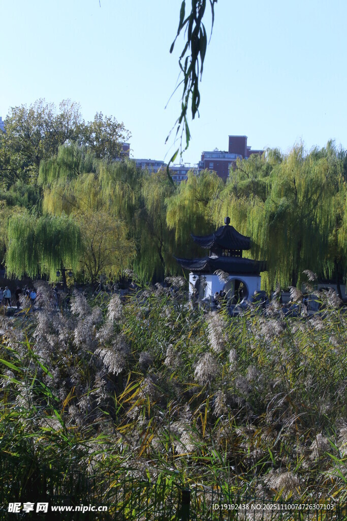 公园风景  