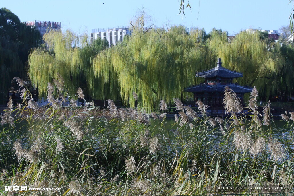 公园风景 