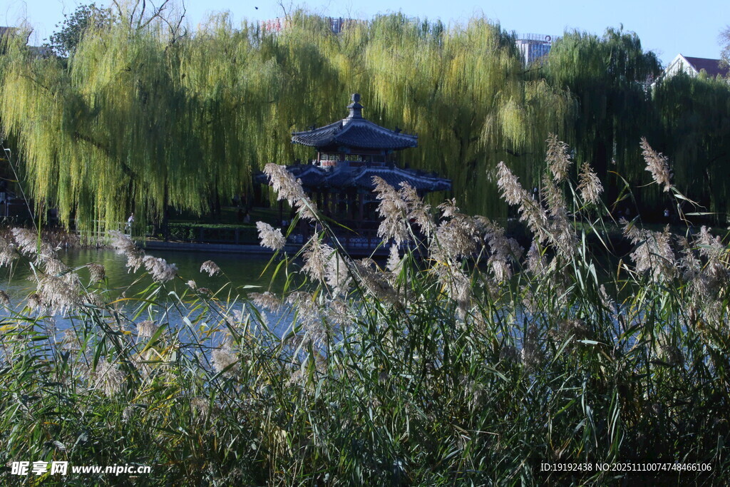 公园风景  