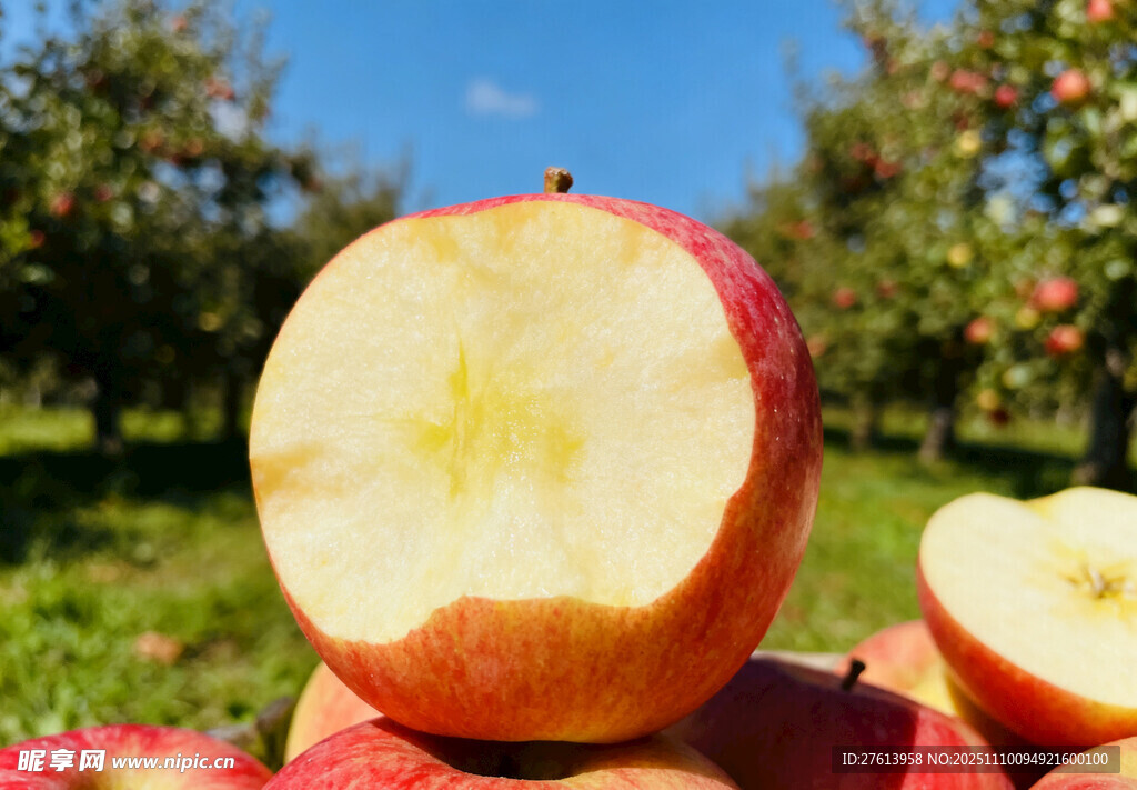 咬过的红苹果