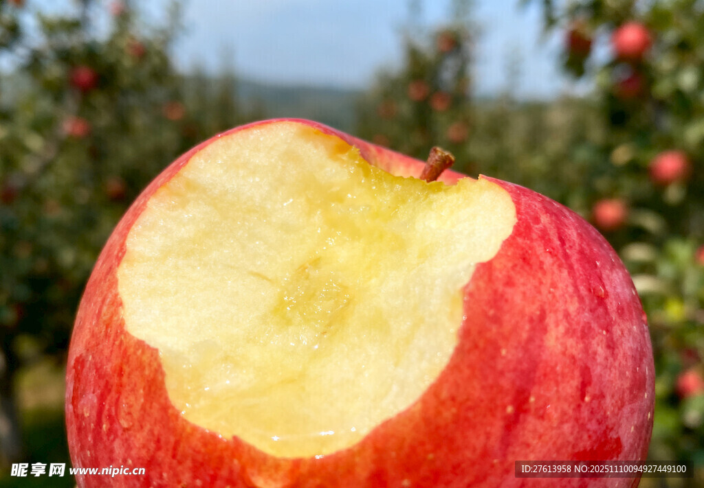 咬了一口的红苹果