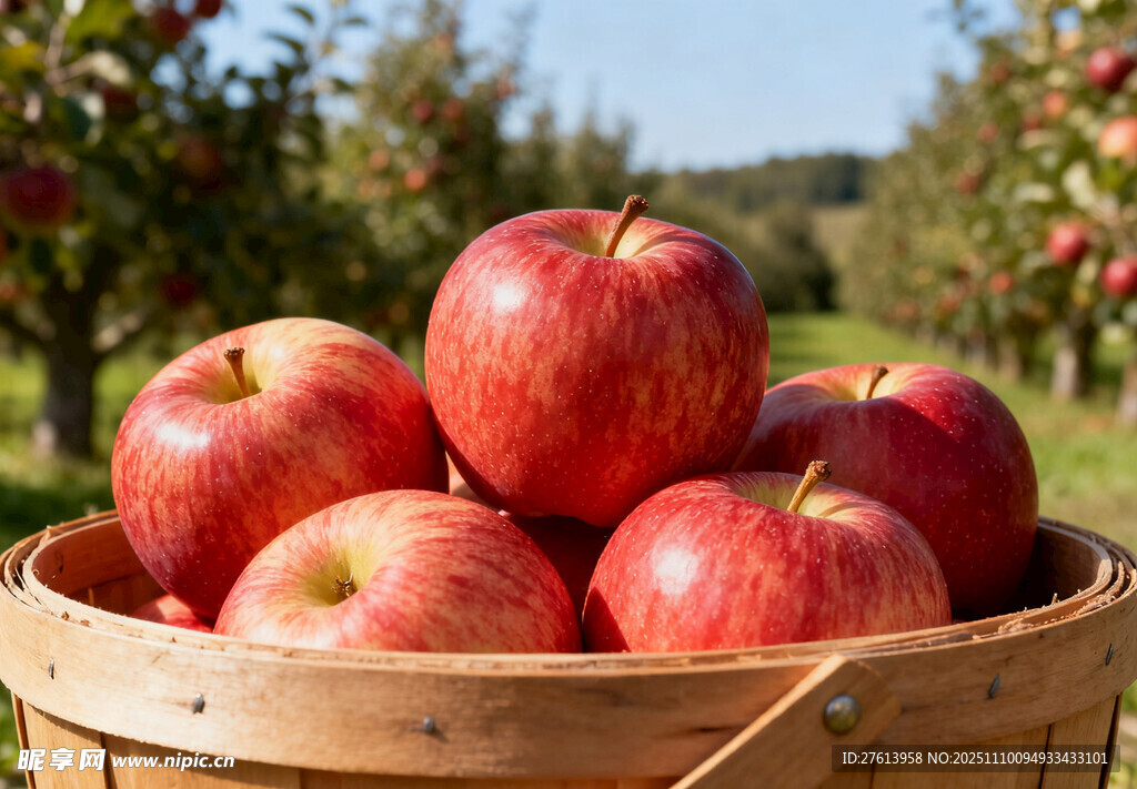 木筐中的红苹果