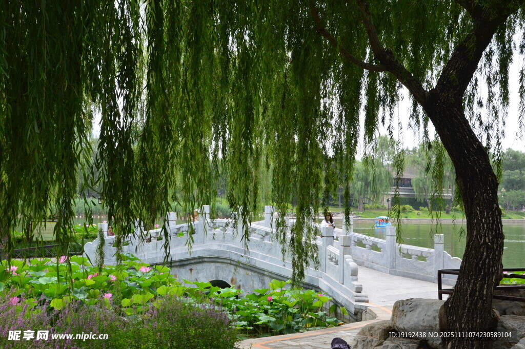 公园风景 