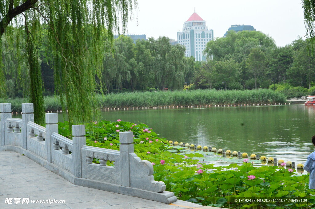 公园风景  