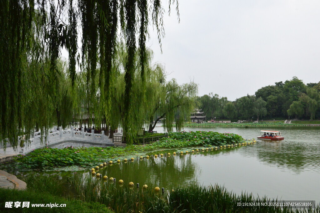 公园风景 