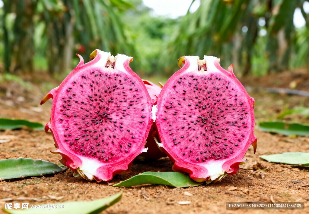 切开的红心火龙果