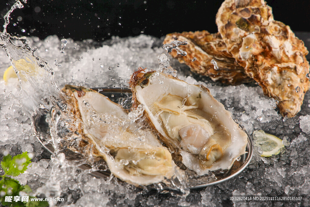 冰鲜生蚝