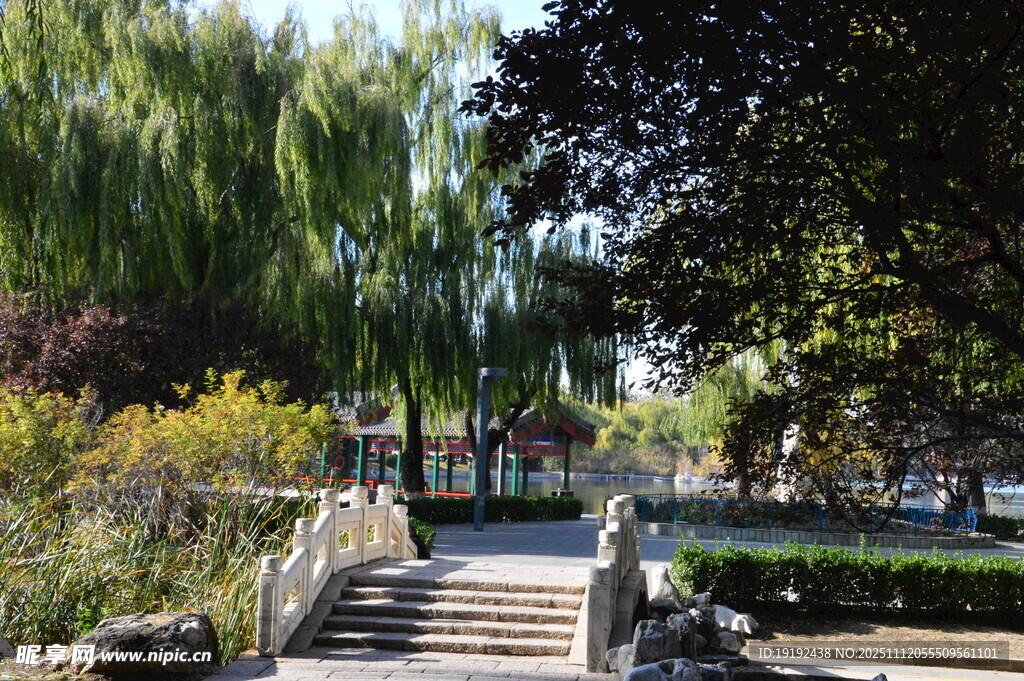 公园风景  