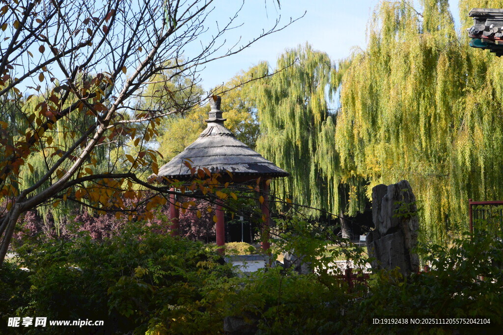 公园风景  