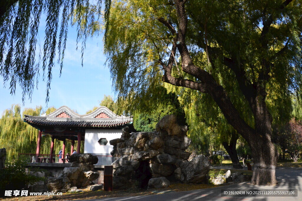 公园风景  