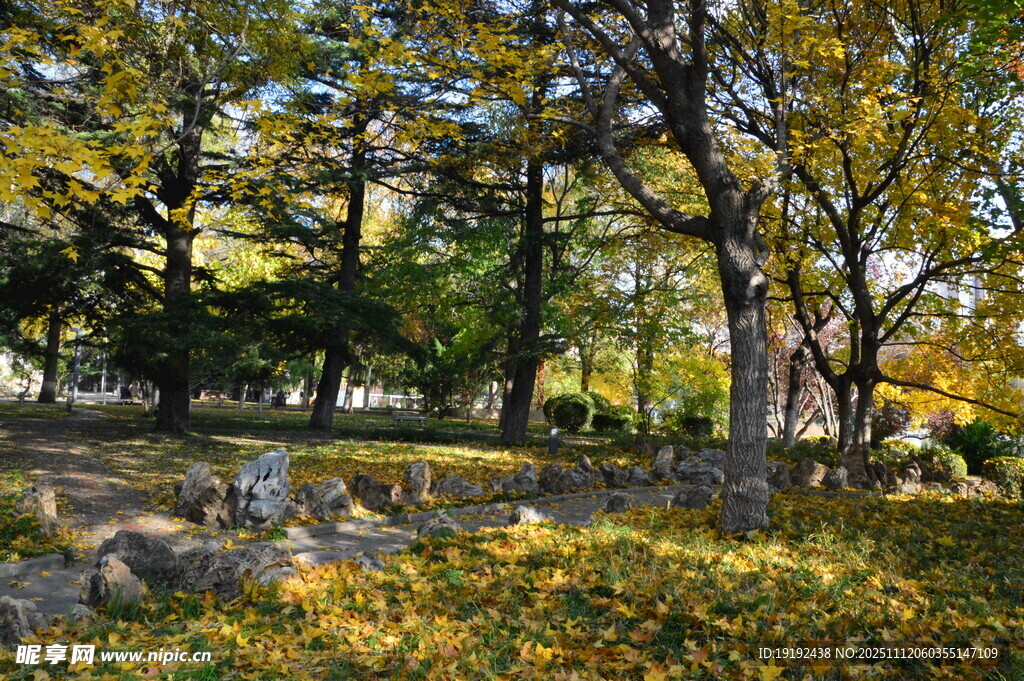 公园风景 